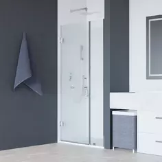 Душевая дверь 110 см RGW HO-012 Hotel 350601211-11 прозрачное