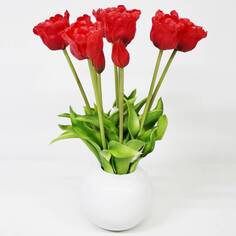 Тюльпаны Конэко-О 10152_х2_10160 в черном кашпо 45 см