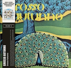 Рок Universal US Grosso Autunno - Grosso Autunno (Black Vinyl LP)