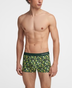 Боксеры HENDERSON UW2-1001 LGREEN