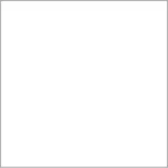Керамогранит Ceracasa Antic Blanco 22.3*22.3