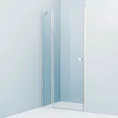 Душевая дверь 100 см IDDIS Ray RAY6CP0i69 прозрачное