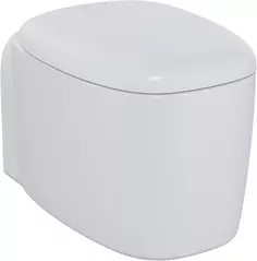 Унитаз подвесной VitrA Plural 7830B401-0075 безободковый, белый матовый