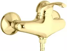 Смеситель для душа Webert Aurora AU870102010