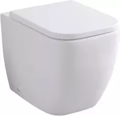 Приставной безободковый унитаз Allen Brau Infinity 4.21003.20