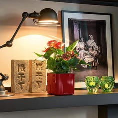 Кашпо с автополивом Lechuza cube glossy 16x16 бордо (13522)