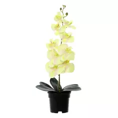 Искусственное растение в горшке орхидея h50 см цвет желтый Без бренда