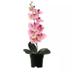 Искусственное растение в горшке орхидея h50 см цвет розовый Без бренда