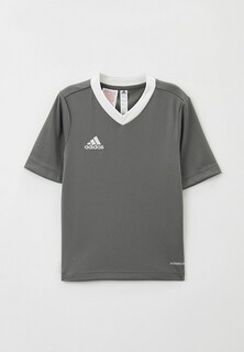 Футболка спортивная adidas ENT22 JSY Y