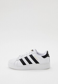 Кеды adidas Originals SUPERSTAR XLG J