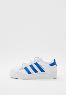 Кеды adidas Originals SUPERSTAR XLG J