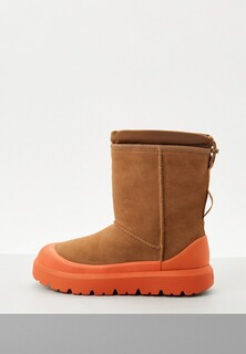 Угги UGG CLASSIC SHORT WEATHER HYBRID