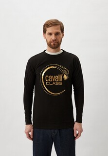 Свитшот Cavalli Class 