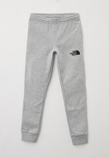 Брюки спортивные The North Face TEEN SLIM FIT JOGGER