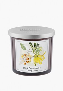 Свеча ароматическая Pernici Black Cardamom & Ylang ylang (Черный кардамон и Иланг-Иланг), 200 грамм воска