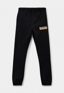 Брюки спортивные Vans DIGI FLAME PANT