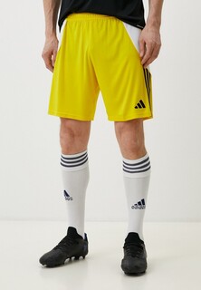 Шорты спортивные adidas TIRO24 SHO