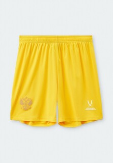 Шорты спортивные Jogel NATIONAL PerFormDRY GK Shorts