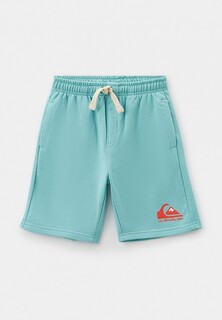 Шорты спортивные Quiksilver EASY DAY OTLR BHA0