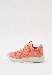 Кроссовки Ecco ECCO SP.1 LITE K