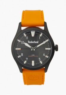 Часы Timberland TDWGM0029801