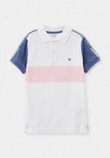 Поло Hackett London 