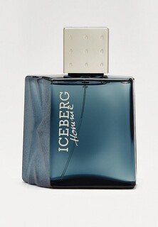 Туалетная вода Iceberg Homme FOR HIM, 100 мл