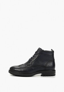 Ботинки Francesco Donni 