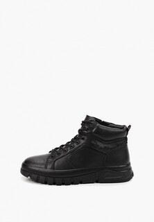 Кеды Francesco Donni 