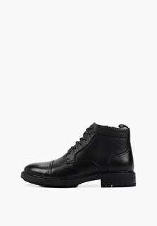 Ботинки Francesco Donni 