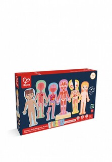 Пазл Hape Магнитный для детей "Строение тела человека"