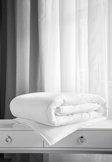 Одеяло 2-спальное Verossa Premium Шелк 150 г