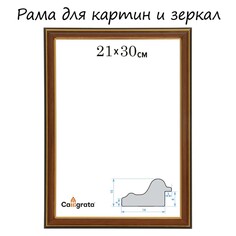 Рама для картин (зеркал) 21 х 30 х 2,0 см, пластиковая, calligrata plv, ольха