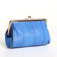 Косметичка-фермуар, 2 отдела на фермуаре, наружный карман, цвет голубой NO Brand