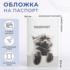 Обложка для паспорта, цвет белый NO Brand