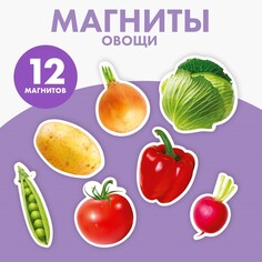 Магнитная игра Школа талантов