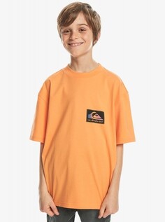 Детская футболка Back Flash (8-16 лет) Quiksilver