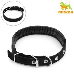 Ошейник Пижон