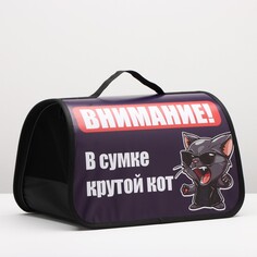 Сумка - переноска для животных каркасная, 40 х 25 х 25 см, синяя с котом NO Brand