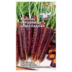 Семена Морковь, Чаровница Шоколадная, 0.1 г, Евро, цветная упаковка, Седек