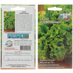 Семена Салат листовой, Изумрудный, 0.5 г, цветная упаковка, Седек