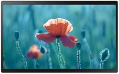 Интерактивная панель Samsung QB13R-TM 1920х1080,600:1,500кд/м2,10 касаний,емкостная,Tizen 4.0
