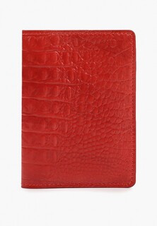 Обложка для паспорта Alexander Tsiselsky 