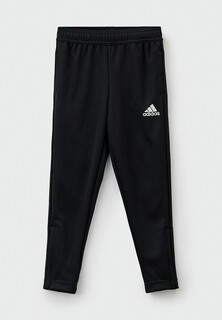 Брюки спортивные adidas ENT22 TR PNT Y
