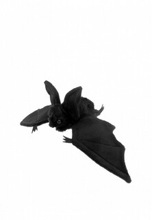 Игрушка мягкая Hansa Мышь летучая, черная, 37 см