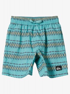 Детские купальные шорты Everyday Heritage (2-7 лет) Quiksilver