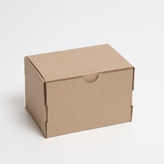 Коробка самосборная, бурая, 15 х 10 х 10 см NO Brand