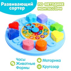 Развивающий сортер NO Brand