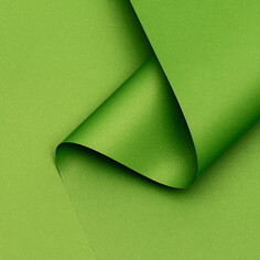 Пленка матовая, неоновые цвета, зеленая, 0,5 х 10 м, 65 мкм Upak Land