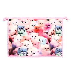 Папка для тетрадей а4, 230 х 325 х 55 мм, молния сверху, пластиковая, пм-а4-29 calligrata